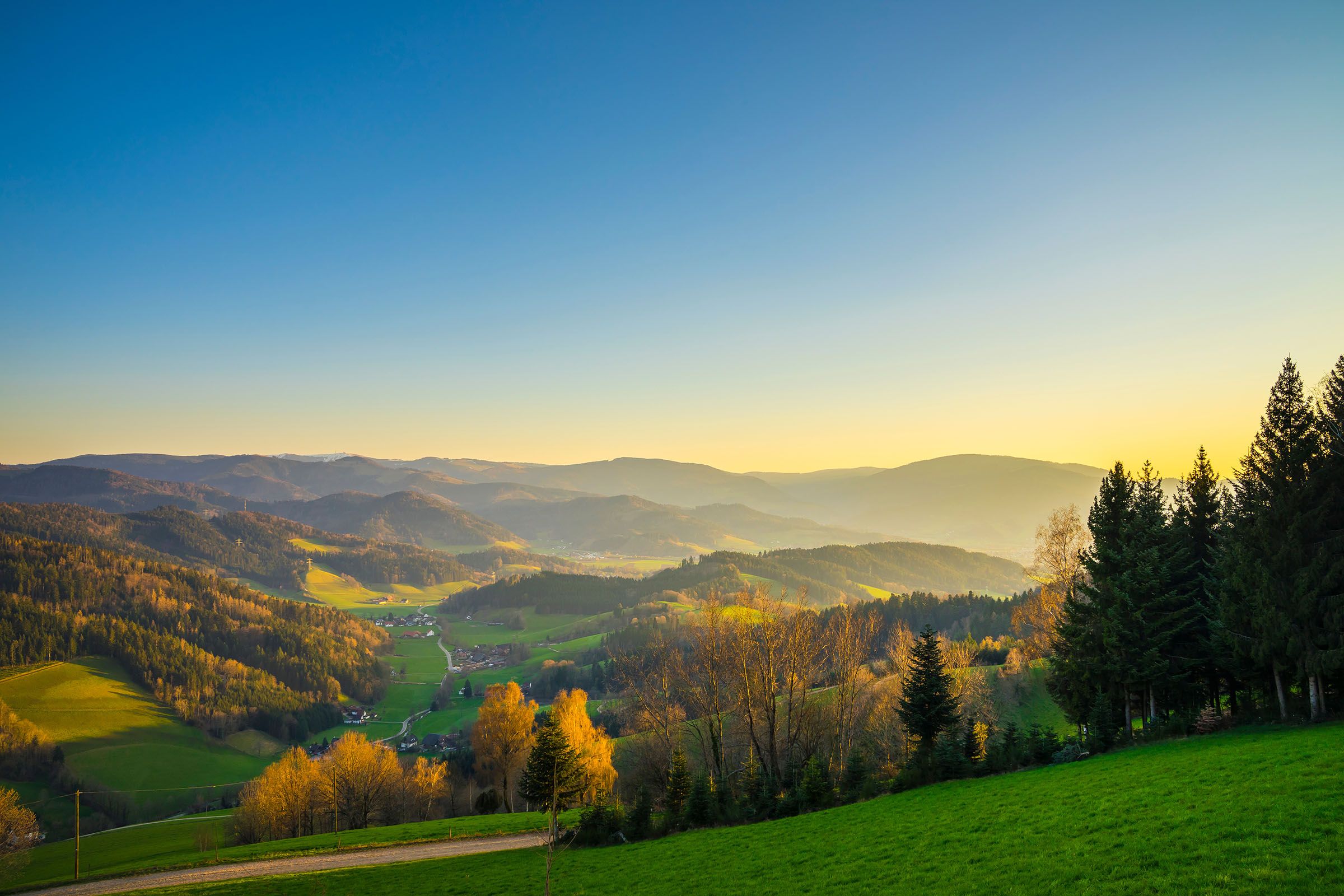 Germany, Beautiful forest panorama view in schwarzwald nature la